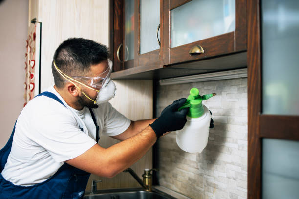 Best Affordable Pest Control Services  in Marathon, FL