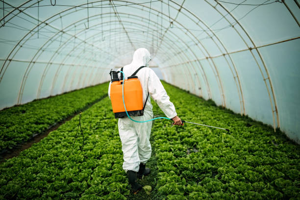 Best Residential Pest Control  in Marathon, FL