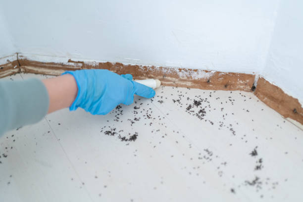 Best Commercial Pest Control Services  in Marathon, FL
